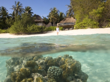 Wishlist de l'été #6 : Domino Lattès