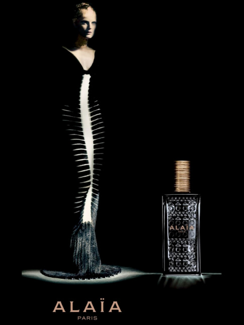 Mystrieuse et envotante, la publicit du premier parfum Alaa fait mouche
