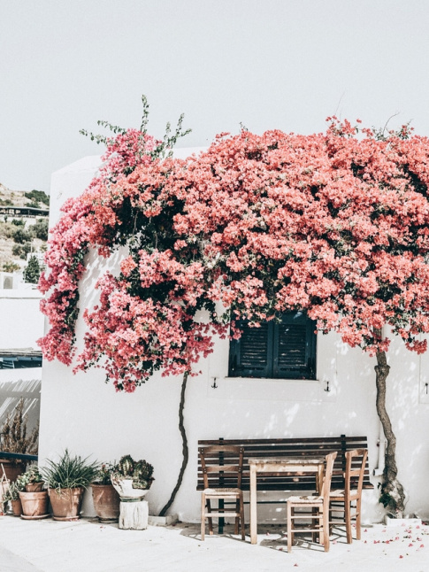 The perfect place #49