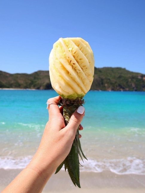 Le meilleur snack du monde !