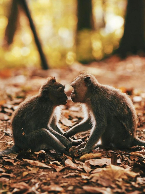 Rien de tel qu'un peu d'amour pour bien commencer la journe...
