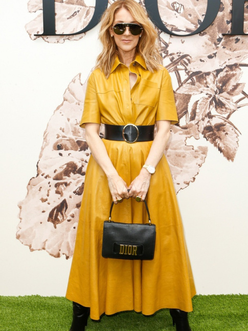 Aprs Victoria Beckham, c'est au tour de Cline Dion de faire sa rvolution fashion