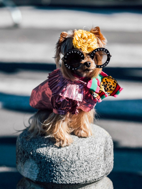 En priode de fashion week, on ne se refuse rien !