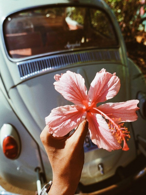 La nature, le plus fascinant des bijoutiers !