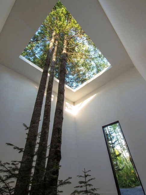 Note pour pour plus tard : penser  planter un arbre au milieu du salon !