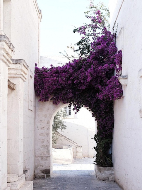 Vu ainsi, le violet ne semble plus si rdhibitoire...