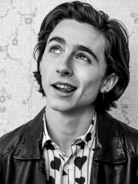 Timothe Chalamet, ou l'incarnation parfaite de la notion d'espoir en cinma