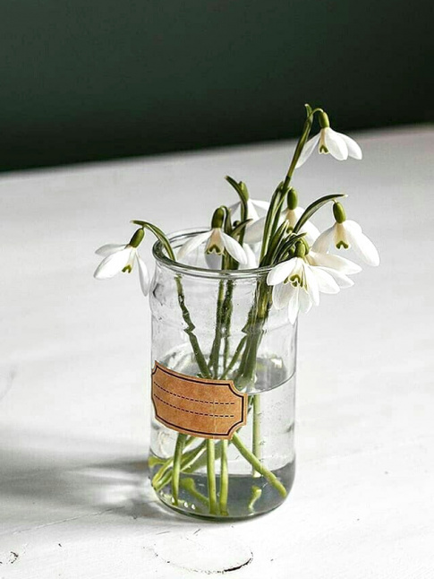 Les perce-neiges : les fleurs les plus simples, et srement les plus jolies...