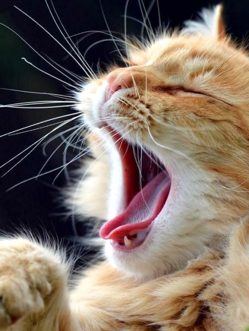 Comme un lundi matin...