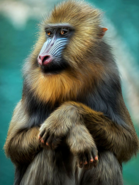 Prendre la pose... tout un art !