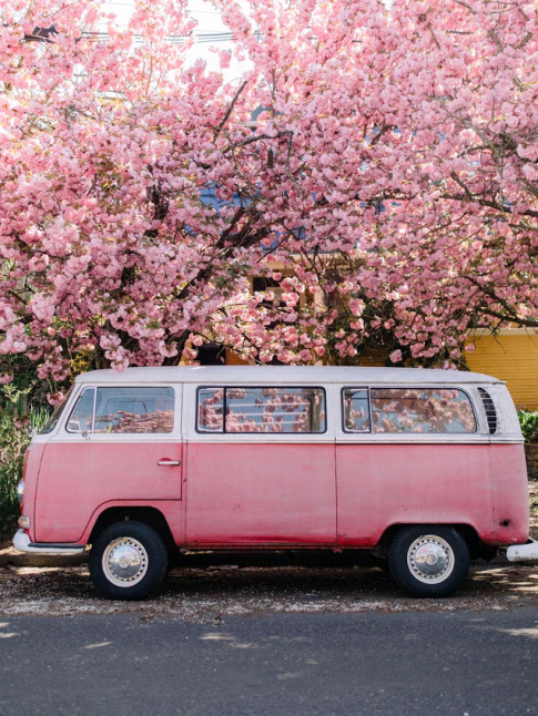 Voir la vie en rose... tout un art !