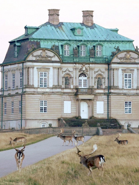 Architecture raffine + audace animalire = le bon mix