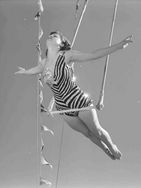 Prendre son envol... tout un art !