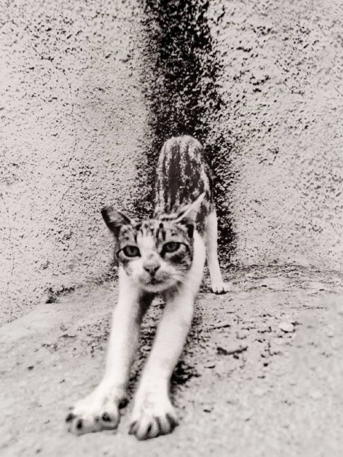 Se prparer  affronter sa journe... tout un art !