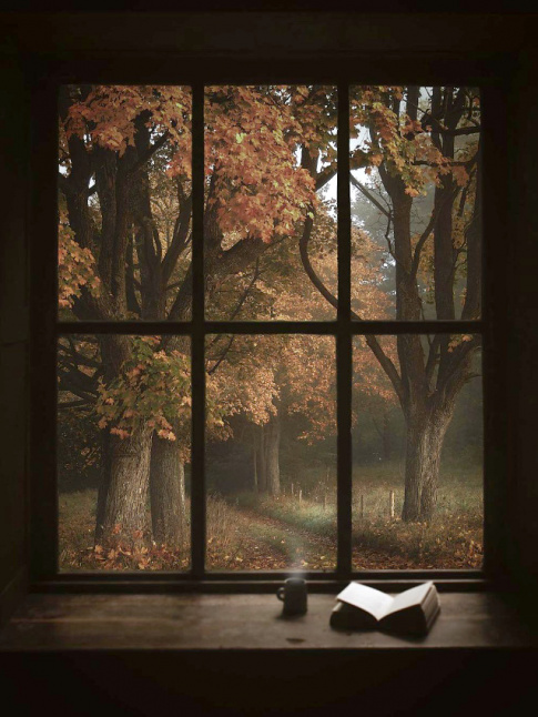 Rien de plus dlicieux que de savourer un paysage d'automne bien au chaud  l'intrieur...