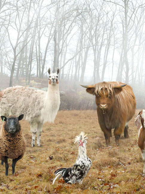 Vivement les runions familiales de fin d'anne !