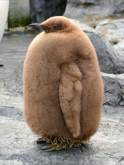 Faire la part belle  sa garde-robe hivernale... tout un art !