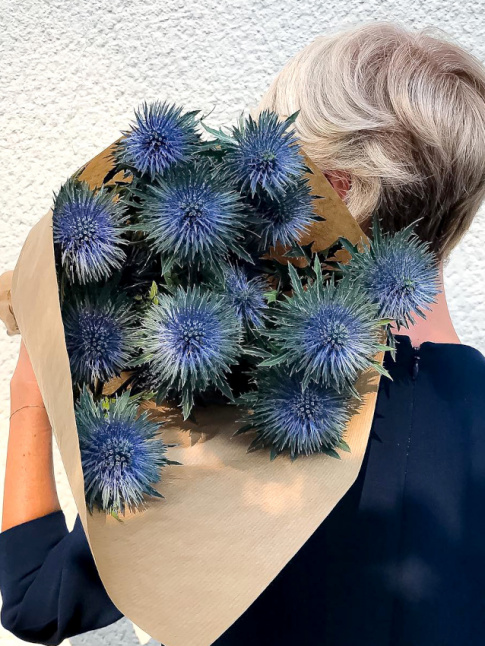 Piquantes et violettes, les fleurs de chardon ne manquent pas de charme !