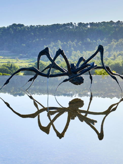 Quand l'art sublime les phobies...