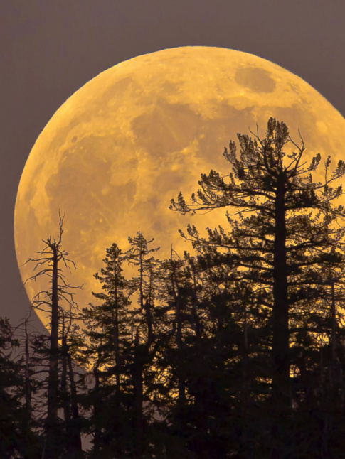 Se laisser surprendre... tout un art !