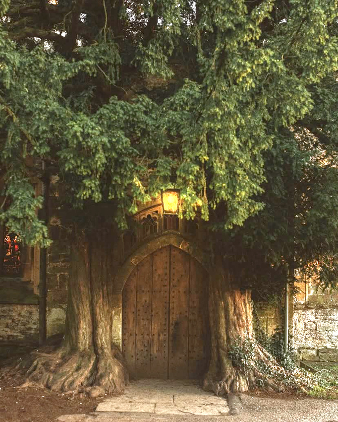 Arbre + porte = le bon mix